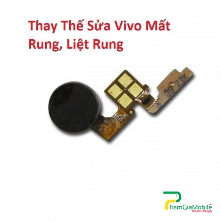 Thay Thế Sửa Vivo X3 X3T X3SW Mất Rung, Liệt Rung Lấy Liền Tại HCM